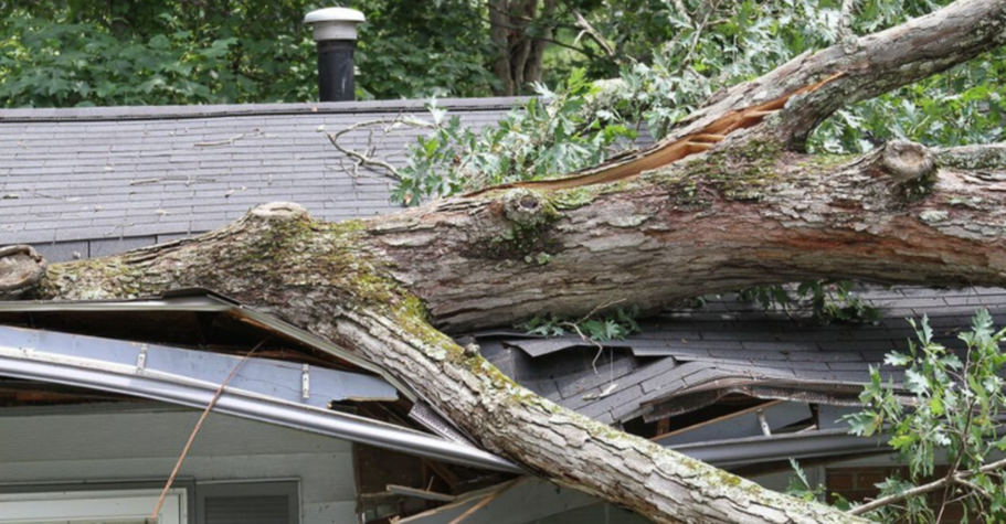 Tree fell on house after a storm in Montreal. It will be removed by Emondage Montreal.