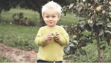 Child in Montreal eating an apple from an apple tree planted by Emondage Montreal.